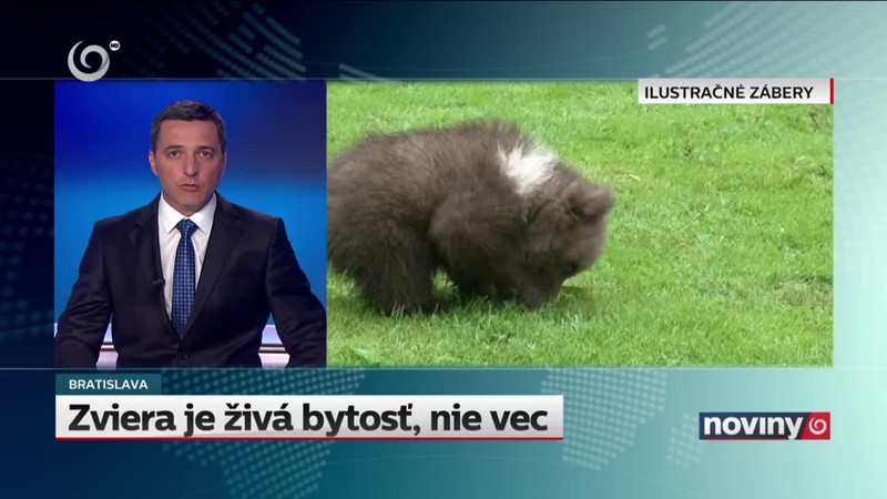 Zviera je živá bytosť, nie vec