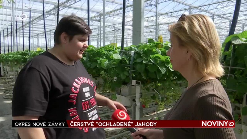 ČERSTVÉ "OCHLADENÉ" JAHODY