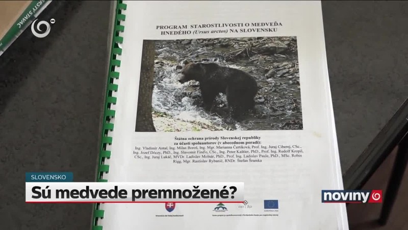 Sú medvede premnožené?