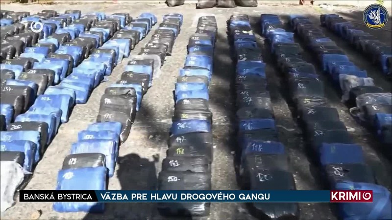 VÄZBA PRE HLAVU DROGOVÉHO GANGU