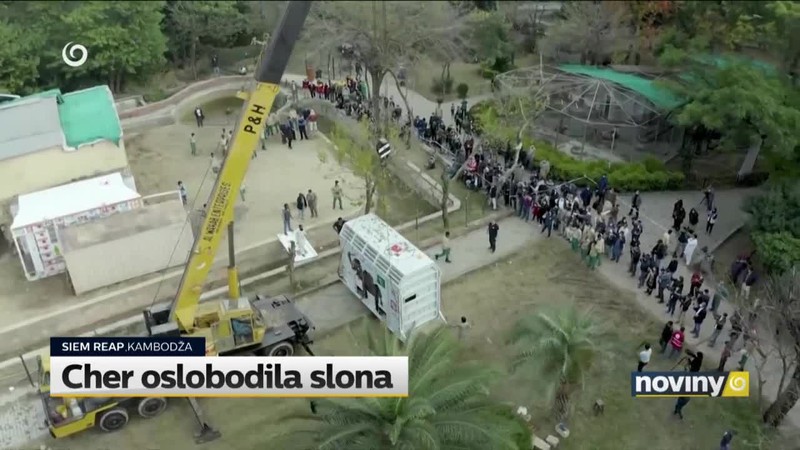 Cher oslobodila slona