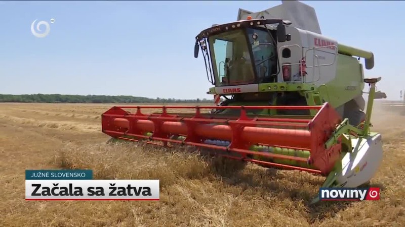Začala sa žatva