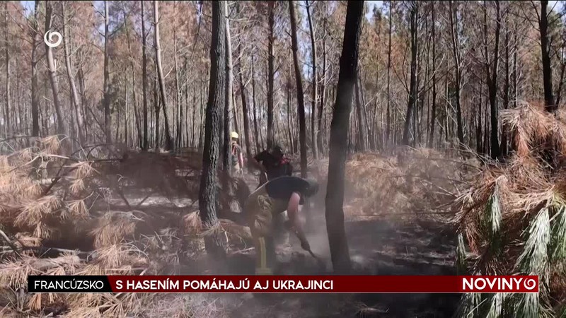 S HASENÍM POMÁHAJÚ AJ UKRAJINCI