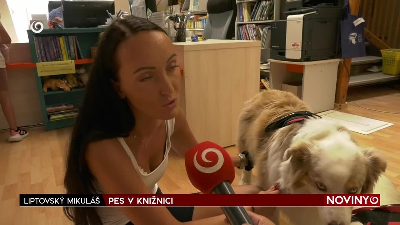 PES V KNIŽNICI