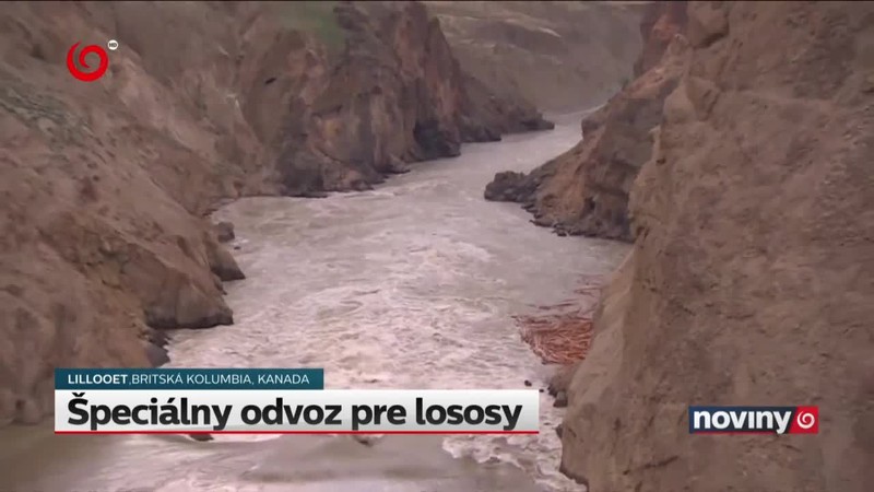 Špeciálny odvoz pre lososy
