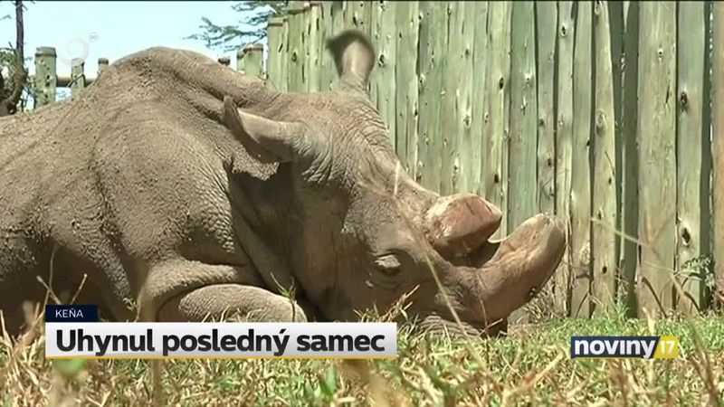 Uhynul posledný samec