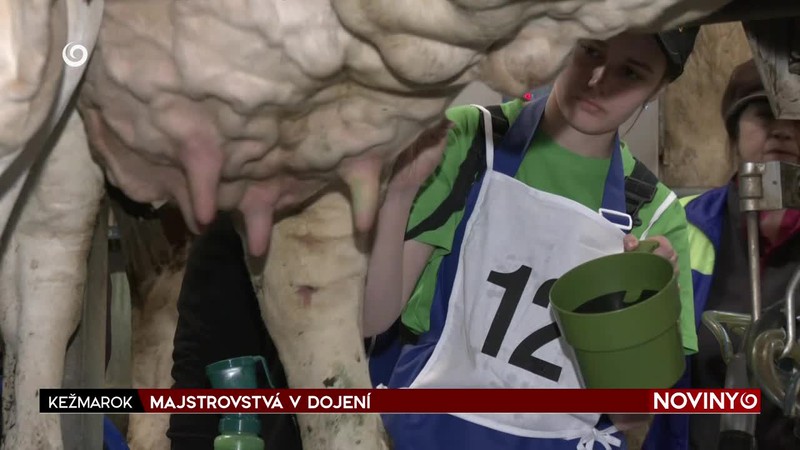 MAJSTROVSTVÁ V DOJENÍ