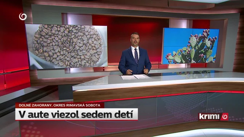V aute viezol sedem detí