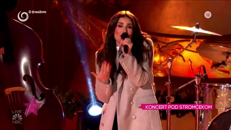 KONCERT POD STROMČEKOM