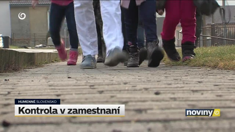 Kontrola v zamestnaní