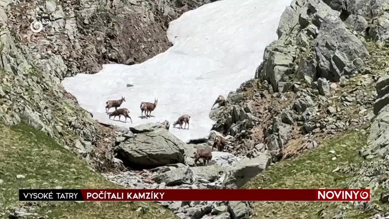 ZA PRIESTUPOK DOSTALA MANŽELSTVO