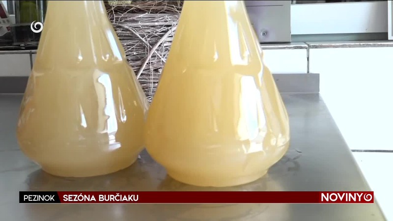SEZÓNA BURČIAKU