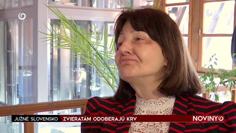 ZVIERATÁM ODOBERAJÚ KRV