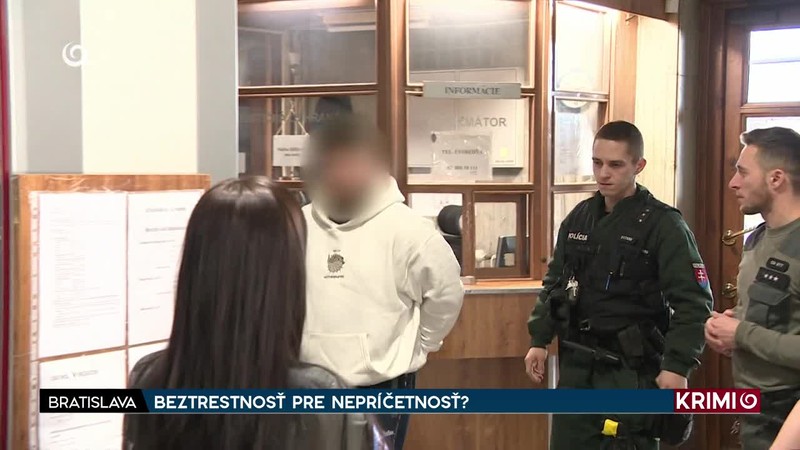 BEZTRESTNOSŤ PRE NEPRÍČETNOSŤ?