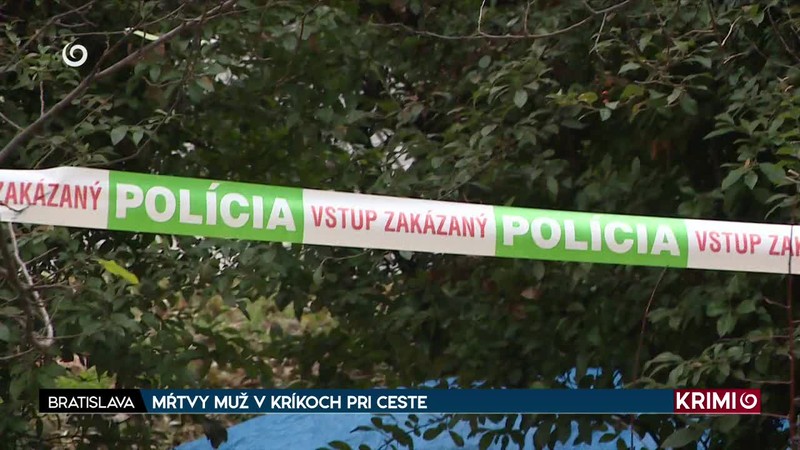 MŔTVY MUŽ V KRÍKOCH PRI CESTE
