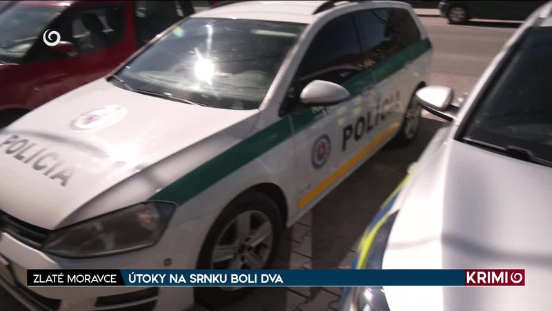 ÚTOKY NA SRNKU BOLI DVA