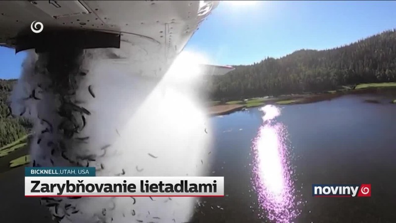 Zarybňovanie lietadlami