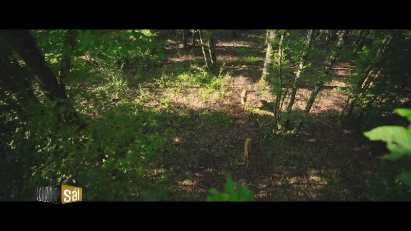 Kinosál epizóda 43 2024 CZ