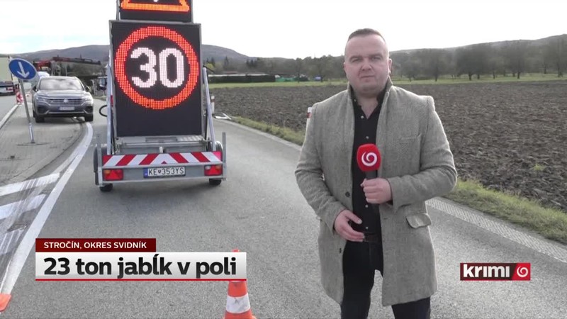 23 ton jabĺk v poli