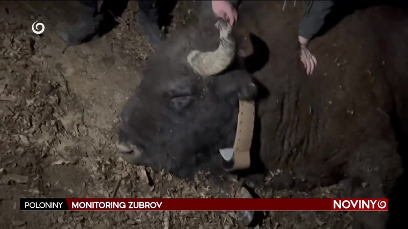 MONITORING ZUBROV
