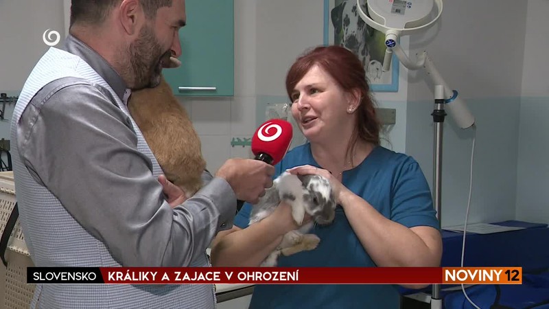 KRÁLIKY A ZAJACE V OHROZENÍ