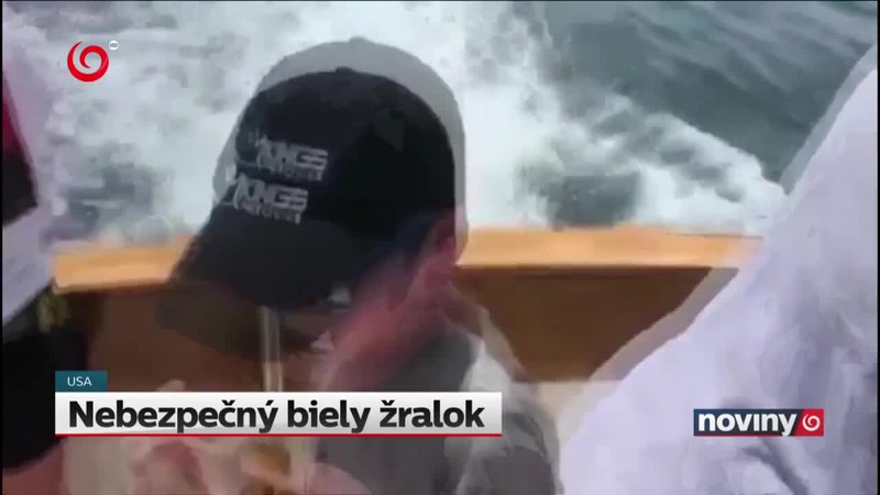Nebezpečný biely žralok