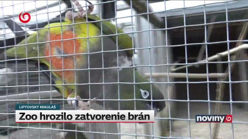 Zoo hrozilo zatvorenie brán