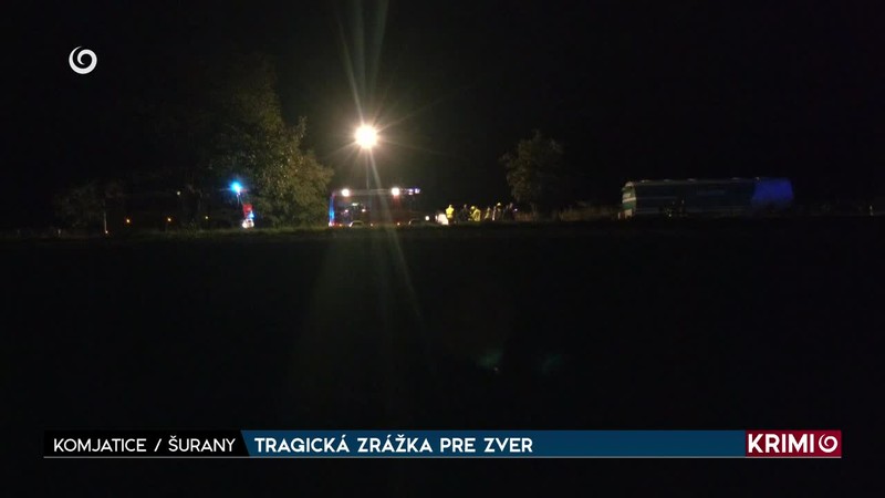 TRAGICKÁ ZRÁŽKA PRE ZVER