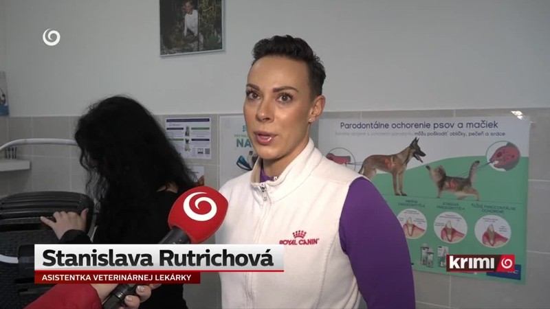 Kruté "nápady" ako týrať zvieratá
