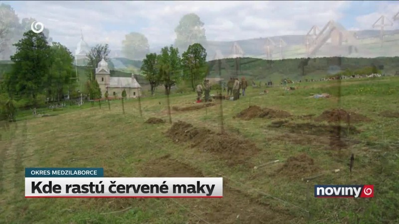 Kde rastú červené maky