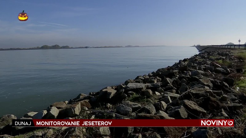 MONITOROVANIE JESETEROV