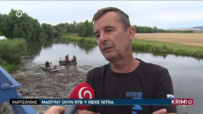 MASÍVNY ÚHYN RÝB V RIEKE NITRA