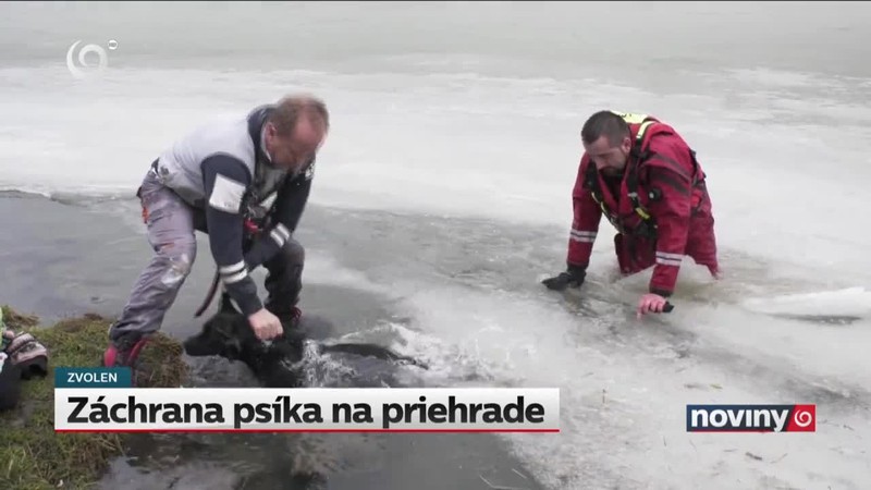 Záchrana psíka na priehrade