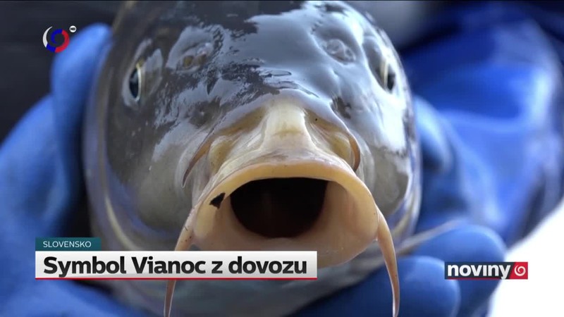 Symbol Vianoc z dovozu