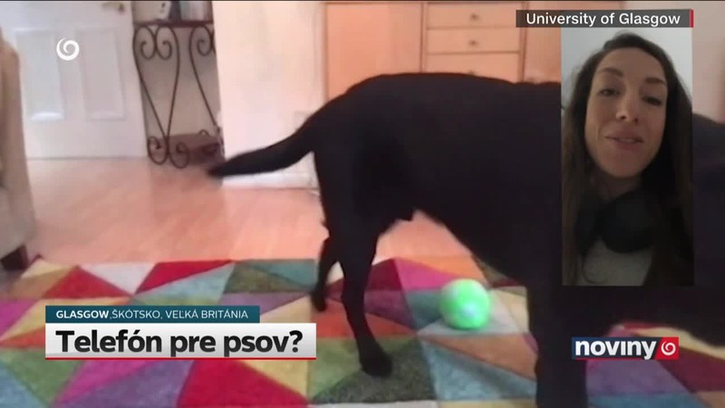 Telefón pre psov?