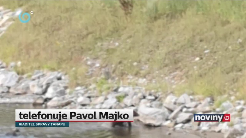Medvedia rodina vo Váhu