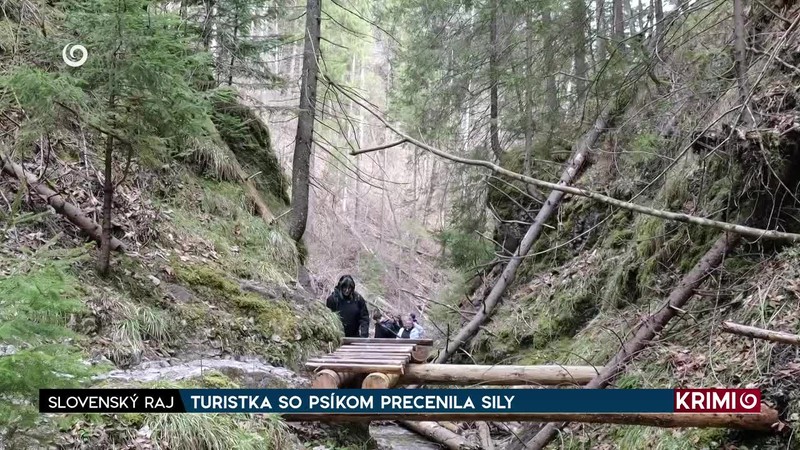 TURISTKA SO PSÍKOM PRECENILA SILY