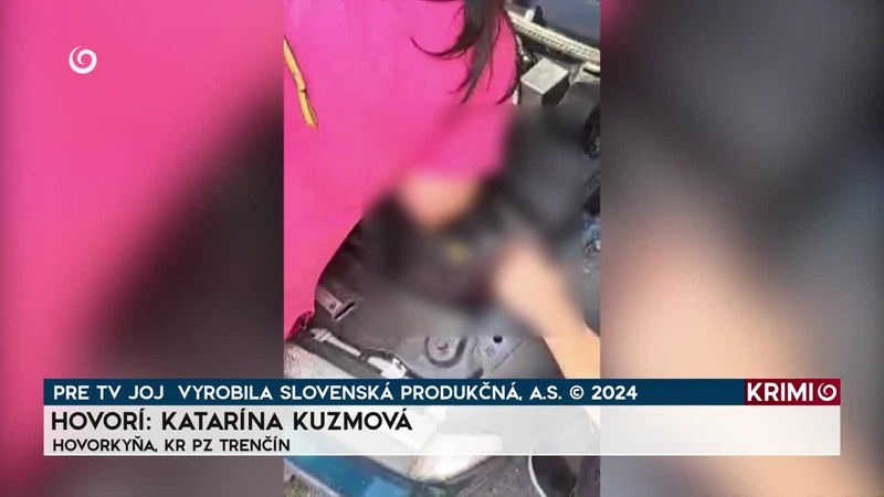 MAČIATKO ZAHYNULO POD KAPOTOU AUTA