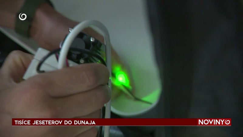 TISÍCE JESETEROV DO DUNAJA