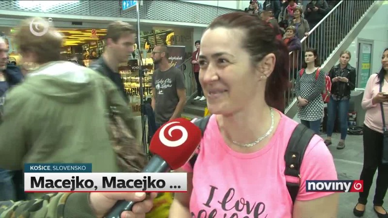 Macejko, Macejko ...