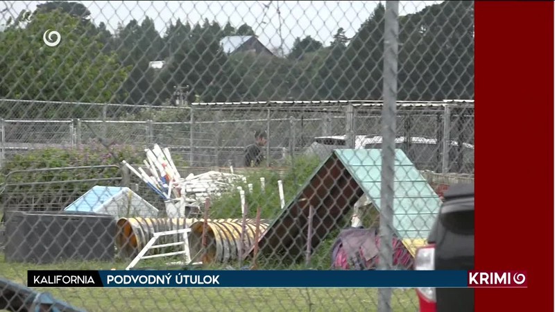 OTCA MAL ZABIŤ POČAS HRANIA FUTBALU