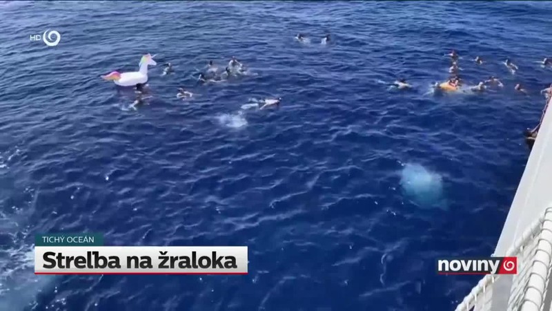 Streľba na žraloka