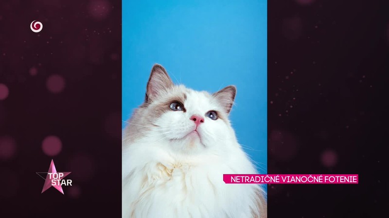 NETRADIČNÉ VIANOČNÉ FOTENIE