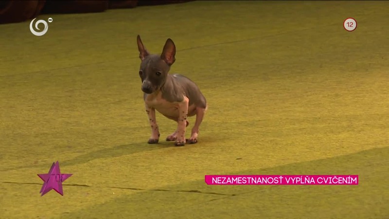 NEZAMESTNANOSŤ VYPĹŇA CVIČENÍM