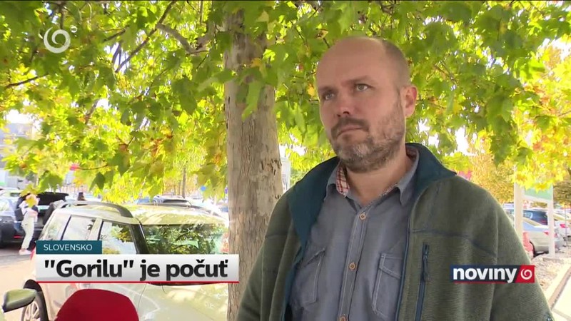 "Gorilu" je počuť