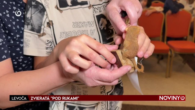 ZVIERATÁ "POD RUKAMI"