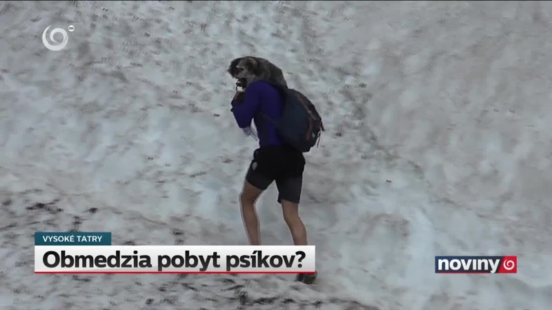 Obmedzia pobyt psíkov?