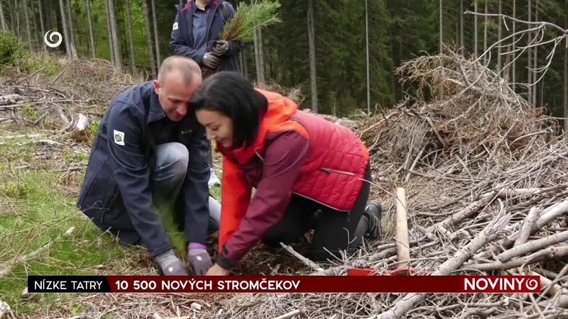 10 500 NOVÝCH STROMČEKOV