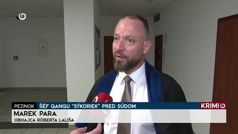 ŠÉF GANGU "SÝKORIEK" PRED SÚDOM