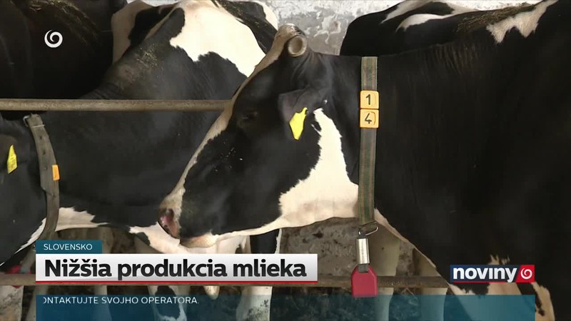 Nižšia produkcia mlieka